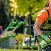service à la personne, jardinage, tonte pelouse, déboussaillage, entretien jardin, ramassage feuilles, désherbage, taille des haies, taille des arbres