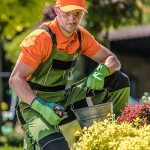 service à la personne, jardinage, tonte pelouse, déboussaillage, entretien jardin, ramassage feuilles, désherbage, taille des haies, taille des arbres